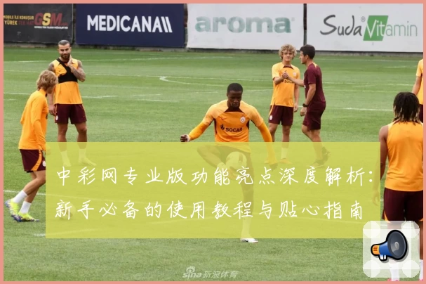 中彩网专业版功能亮点深度解析：新手必备的使用教程与贴心指南