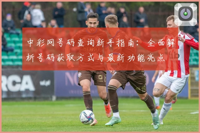 中彩网号码查询新手指南：全面解析号码获取方式与最新功能亮点