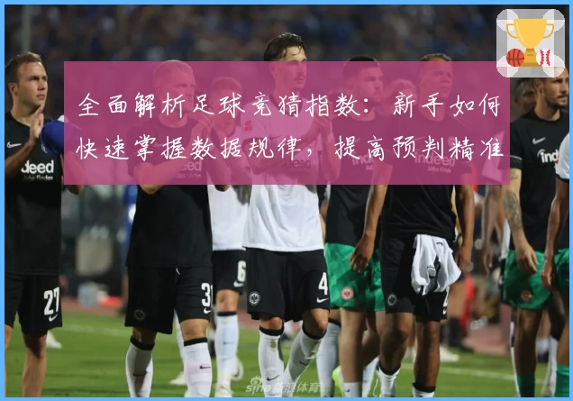 全面解析足球竞猜指数:新手如何快速掌握数据规律,提高预判精准度