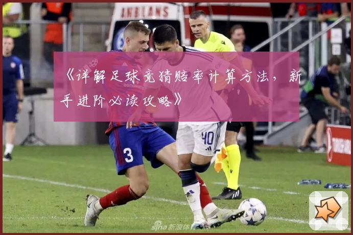 《详解足球竞猜赔率计算方法，新手进阶必读攻略》
