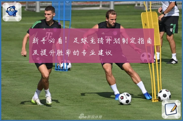 新手必看！足球竞猜计划制定指南及提升胜率的专业建议