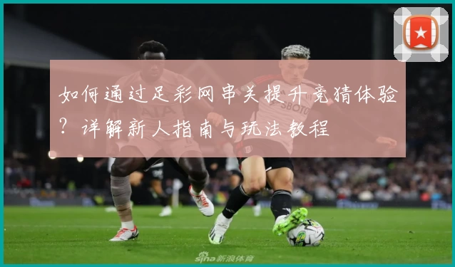 如何通过足彩网串关提升竞猜体验？详解新人指南与玩法教程