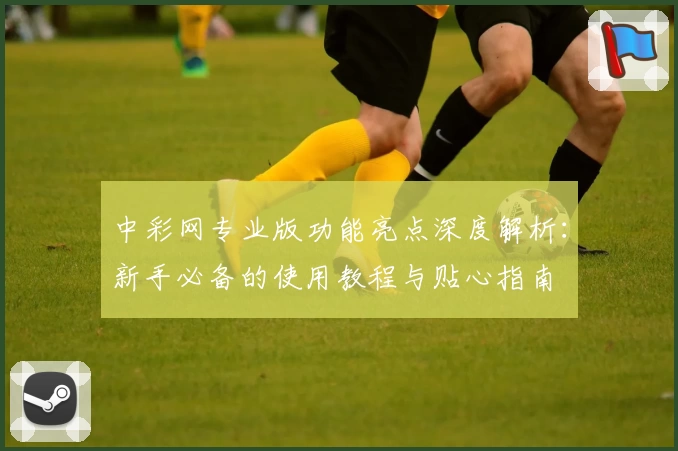中彩网专业版功能亮点深度解析:新手必备的使用教程与贴心指南